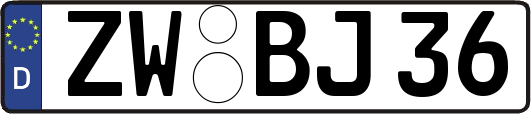 ZW-BJ36