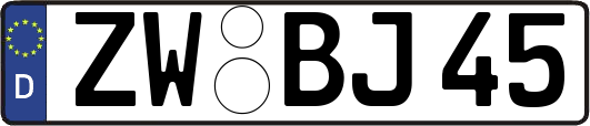 ZW-BJ45