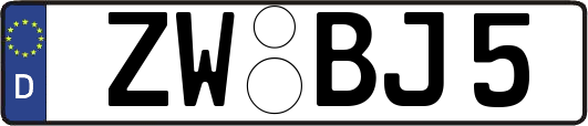 ZW-BJ5