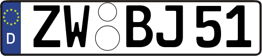 ZW-BJ51