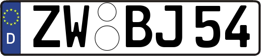 ZW-BJ54