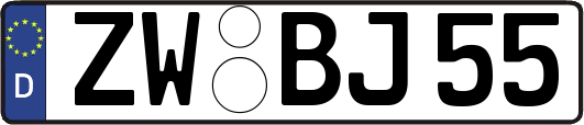 ZW-BJ55