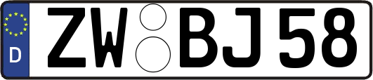 ZW-BJ58