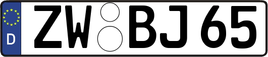 ZW-BJ65