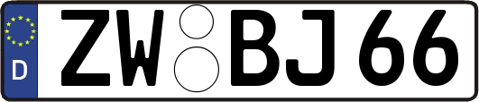 ZW-BJ66