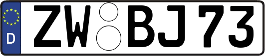 ZW-BJ73