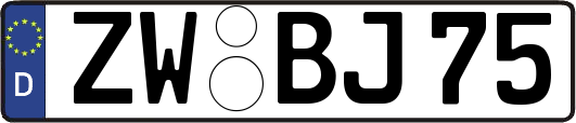 ZW-BJ75