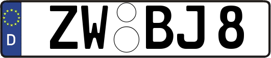 ZW-BJ8