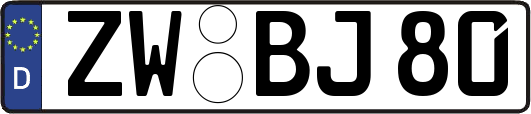 ZW-BJ80