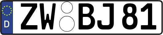 ZW-BJ81