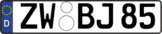 ZW-BJ85