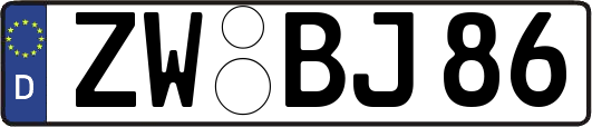 ZW-BJ86