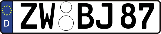 ZW-BJ87