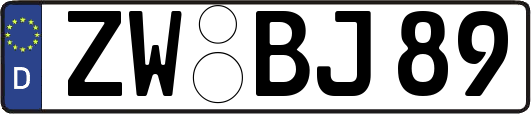 ZW-BJ89