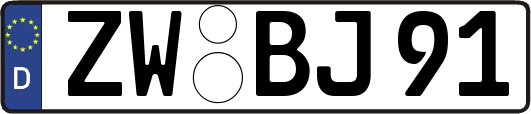 ZW-BJ91