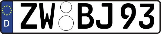 ZW-BJ93