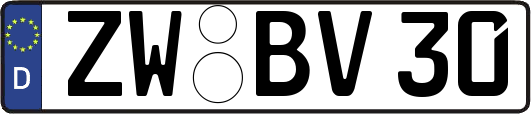 ZW-BV30