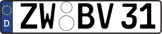 ZW-BV31