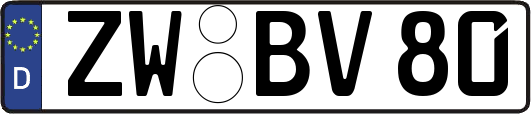 ZW-BV80