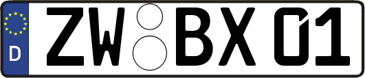 ZW-BX01
