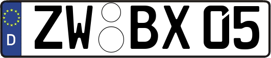 ZW-BX05