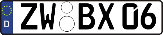 ZW-BX06