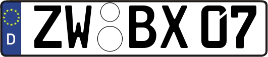ZW-BX07
