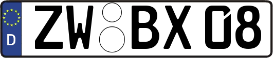ZW-BX08