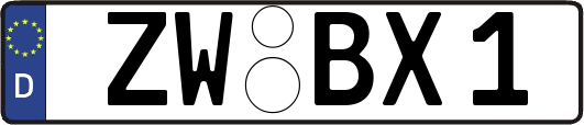 ZW-BX1