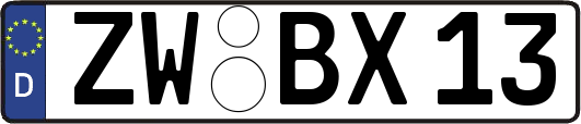 ZW-BX13