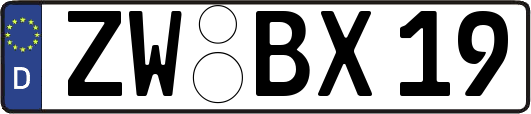 ZW-BX19