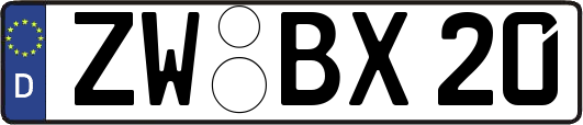 ZW-BX20
