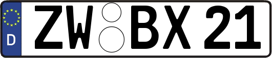 ZW-BX21