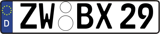 ZW-BX29