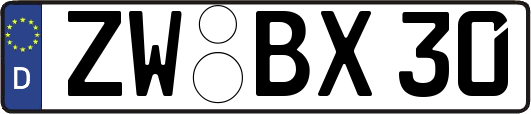 ZW-BX30
