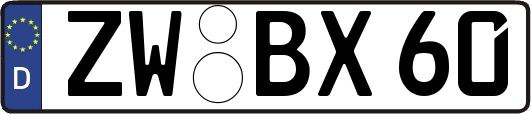 ZW-BX60