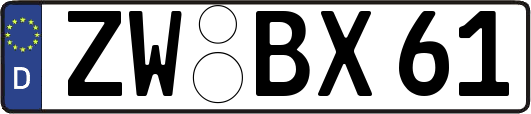 ZW-BX61