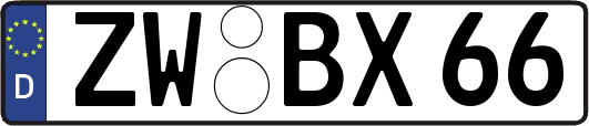 ZW-BX66
