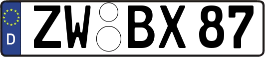 ZW-BX87