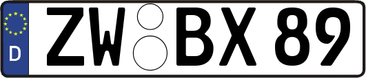 ZW-BX89
