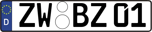 ZW-BZ01
