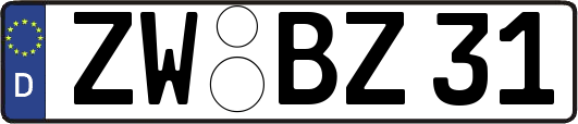 ZW-BZ31