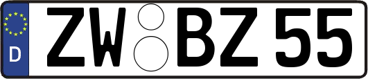 ZW-BZ55