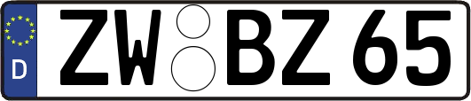 ZW-BZ65