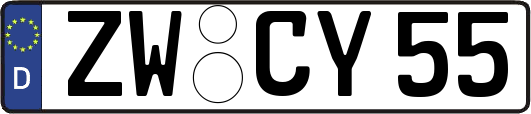 ZW-CY55