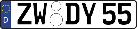 ZW-DY55