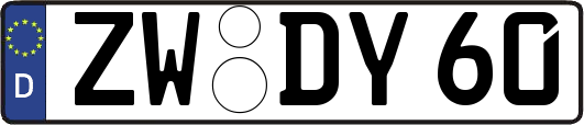 ZW-DY60