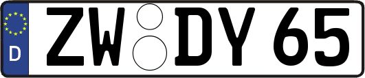 ZW-DY65