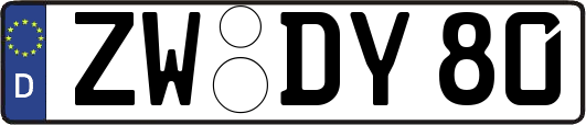 ZW-DY80