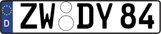 ZW-DY84